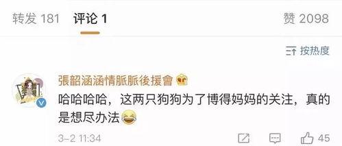 娱乐718吃瓜网址,吃瓜群众的狂欢盛宴