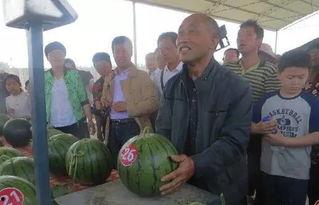 千佛山娱乐团队吃瓜群众