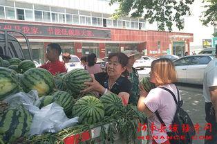 千佛山娱乐团队吃瓜群众